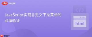 JavaScript实现自定义下拉菜单的必填验证