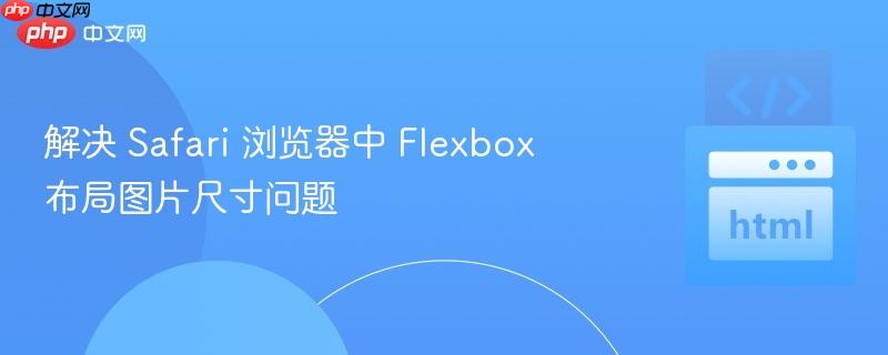 解决 Safari 浏览器中 Flexbox 布局图片尺寸问题