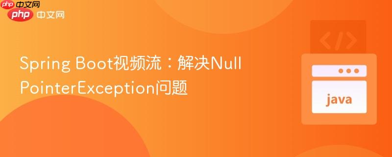 Spring Boot视频流:解决NullPointerException问题 Spring Boot视频流:解决NullPointerException问题