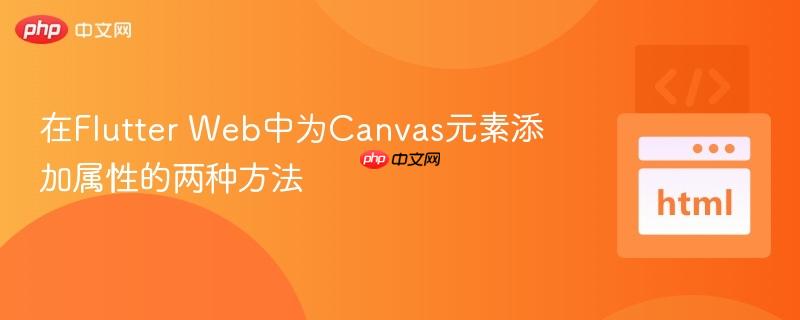 在Flutter Web中为Canvas元素添加属性的两种方法