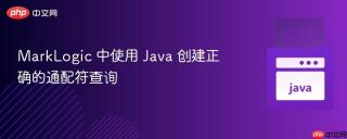 MarkLogic 中使用 Java 创建正确的通配符查询