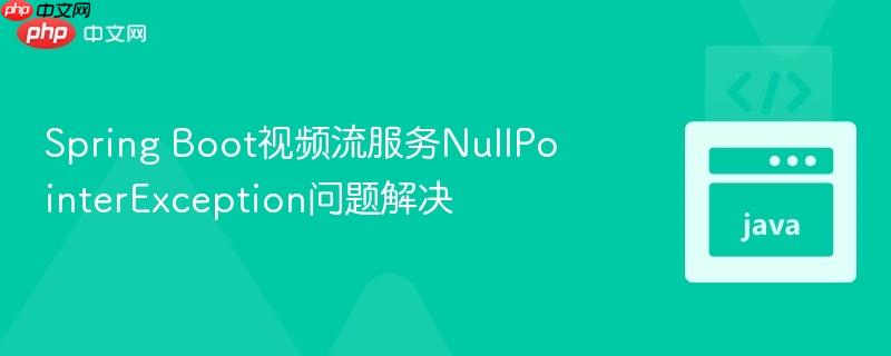 Spring Boot视频流服务NullPointerException问题解决