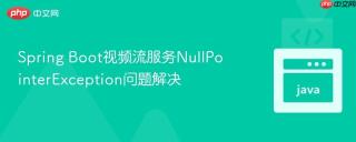 spring boot视频流服务nullpointerexception问题解决