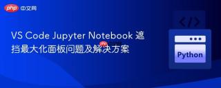 VS Code Jupyter Notebook 遮挡最大化面板问题及解决方案