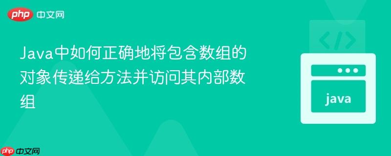 Java中如何正确地将包含数组的对象传递给方法并访问其内部数组