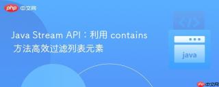 Java Stream API：利用 contains 方法高效过滤列表元素