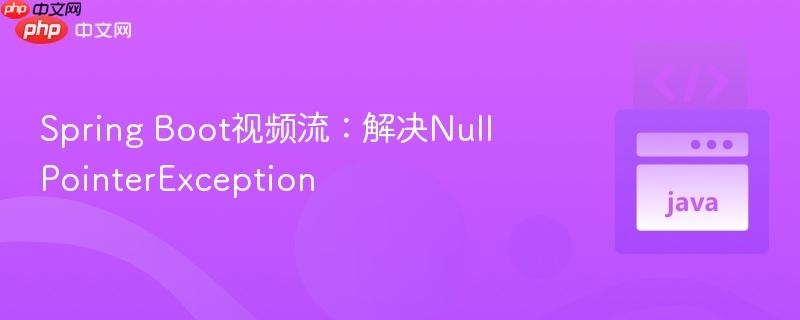 Spring Boot视频流:解决NullPointerException