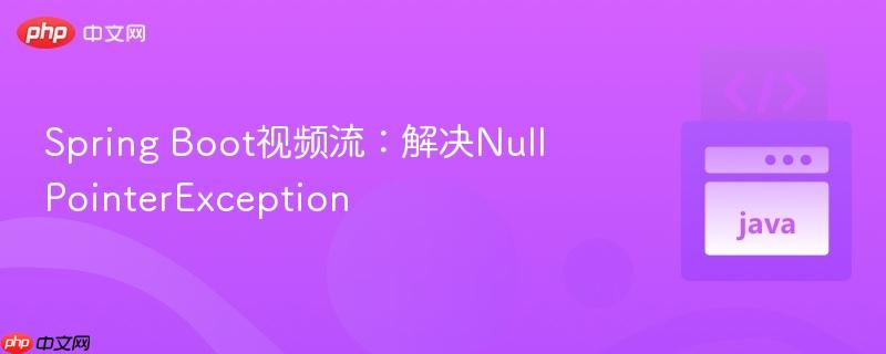 spring boot视频流：解决nullpointerexception