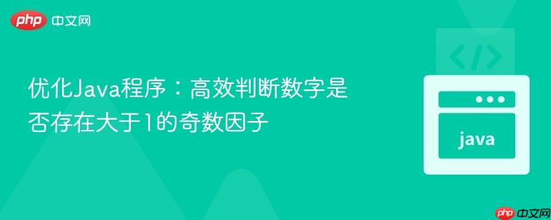 优化Java程序:高效判断数字是否存在大于1的奇数因子