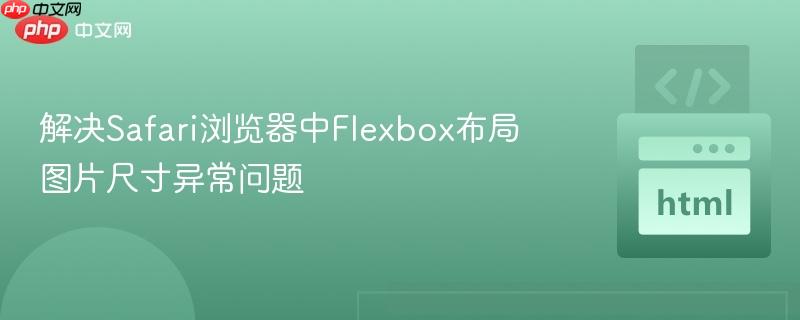 解决safari浏览器中flexbox布局图片尺寸异常问题
