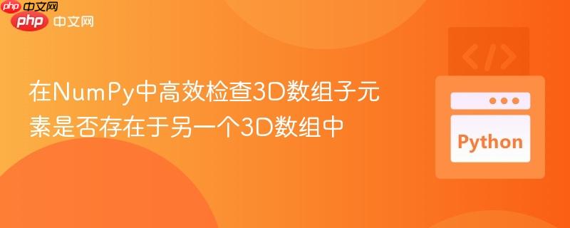 在NumPy中高效检查3D数组子元素是否存在于另一个3D数组中