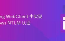 在 Spring WebClient 中实现 Windows NTLM 认证
