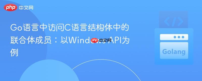 Go语言中访问C语言结构体中的联合体成员：以Windows API为例