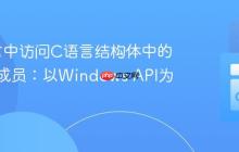 Go语言中访问C语言结构体中的联合体成员：以Windows API为例