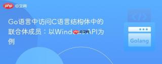 Go语言中访问C语言结构体中的联合体成员：以Windows API为例