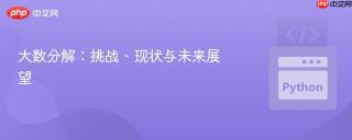 大数分解：挑战、现状与未来展望