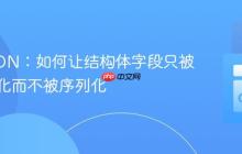 Go JSON:如何让结构体字段只被反序列化而不被序列化