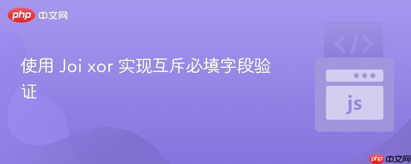 使用 Joi xor 实现互斥必填字段验证