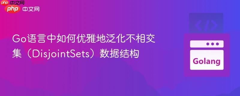 Go语言中如何优雅地泛化不相交集（DisjointSets）数据结构