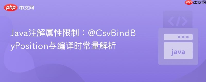 Java注解属性限制:@CsvBindByPosition与编译时常量解析 Java注解属性限制:@CsvBindByPosition与编译时常量解析