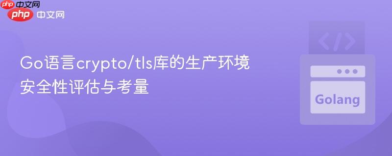 Go语言crypto/tls库的生产环境安全性评估与考量