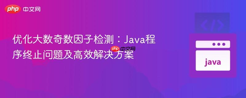 优化大数奇数因子检测：Java程序终止问题及高效解决方案