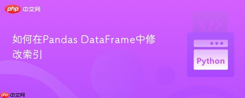 如何在Pandas DataFrame中修改索引 如何在Pandas DataFrame中修改索引