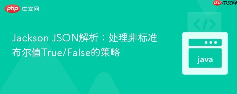 Jackson JSON解析:处理非标准布尔值True/False的策略