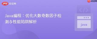 Java编程：优化大数奇数因子检测与性能陷阱解析