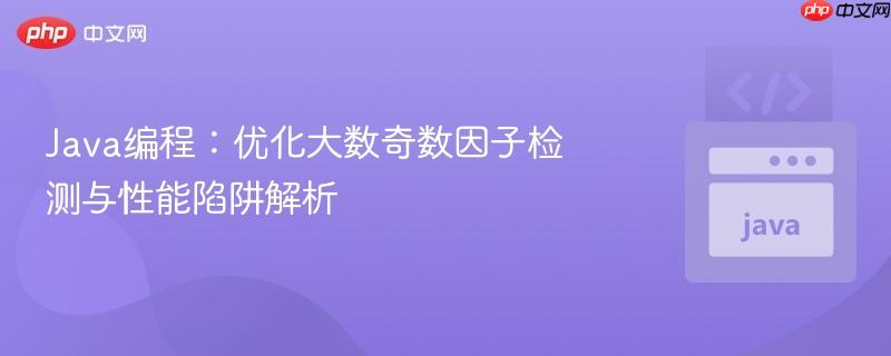 Java编程:优化大数奇数因子检测与性能陷阱解析