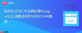 如何在JDBC中正确处理PostgreSQL函数返回的VARCHAR数组