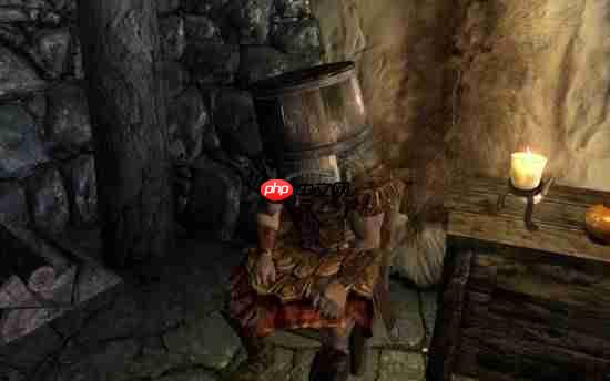 《上古卷轴5》水桶套头盗窃技巧竟是bug!开发者都没想到