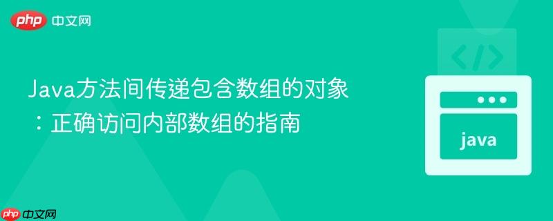 Java方法间传递包含数组的对象：正确访问内部数组的指南