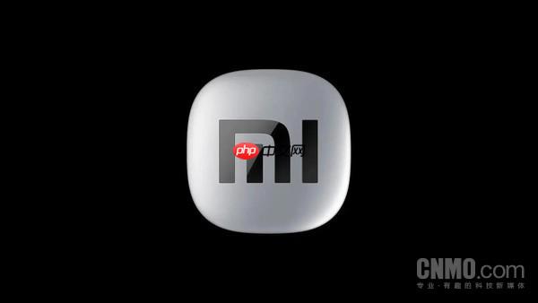 曝小米汽车宣布组织架构调整 雷军领头成立架构部