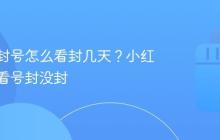 小红书封号怎么看封几天？小红书怎么看号封没封