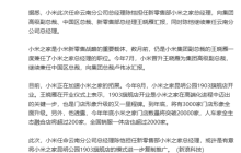 小米集团高层调整：中国区总裁王晓雁不再兼任小米之家总经理 陈恺接任