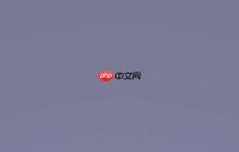 Paper开启图像投影方法