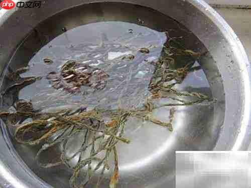 萨斯肯制作全攻略