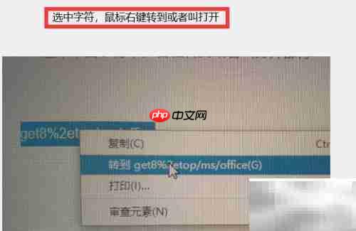 Mac版Office安装包下载