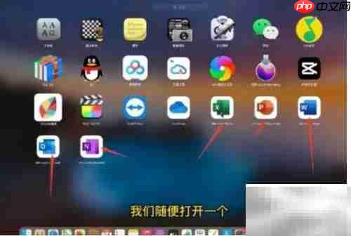 Mac版Office安装包下载