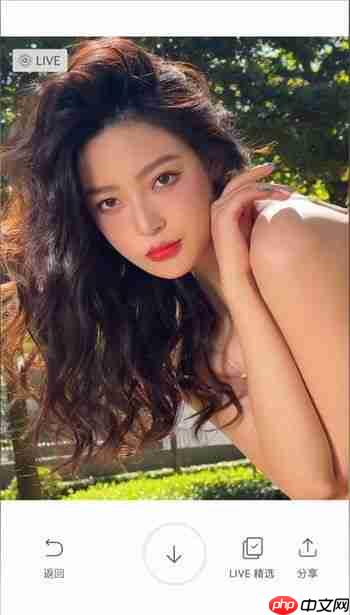 甜盐相机live拍摄教程