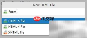 HTML表单标签使用指南