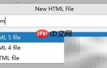 HTML表单标签使用指南