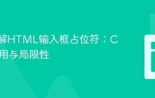 深入理解HTML输入框占位符:CSS的作用与局限性