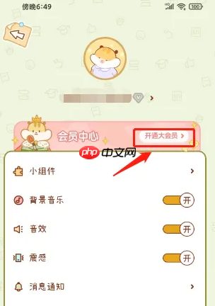 奶酪单词大会员开通方法