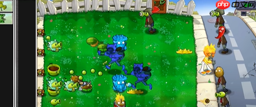 《植物大战僵尸杂交版》火焰舞王僵尸属性一览