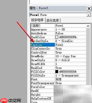 VB修改窗体标题方法