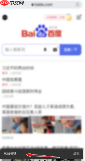 《谷歌浏览器》添加书签方法