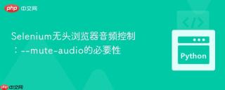 Selenium无头浏览器音频控制：--mute-audio的必要性