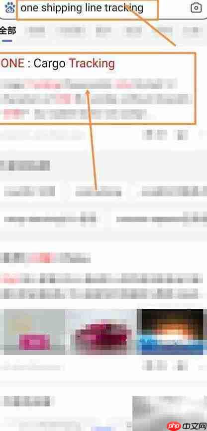 ONE SHIPPING货物跟踪查询指南